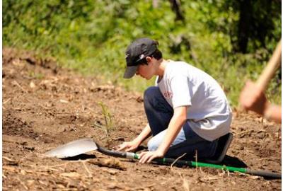 6 Scouts BSA Activities for #ScoutingAtHome